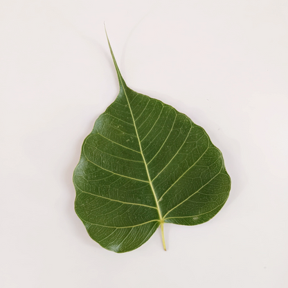 ORIGINAL DRIED LEAF PHOTO ART FRAME